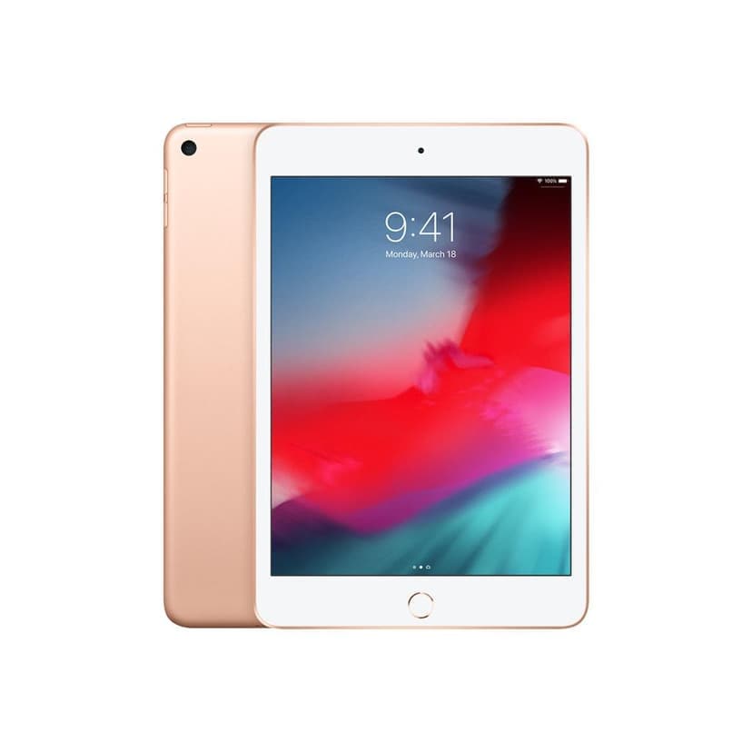 iPad mini 5th gen Wifi 2019